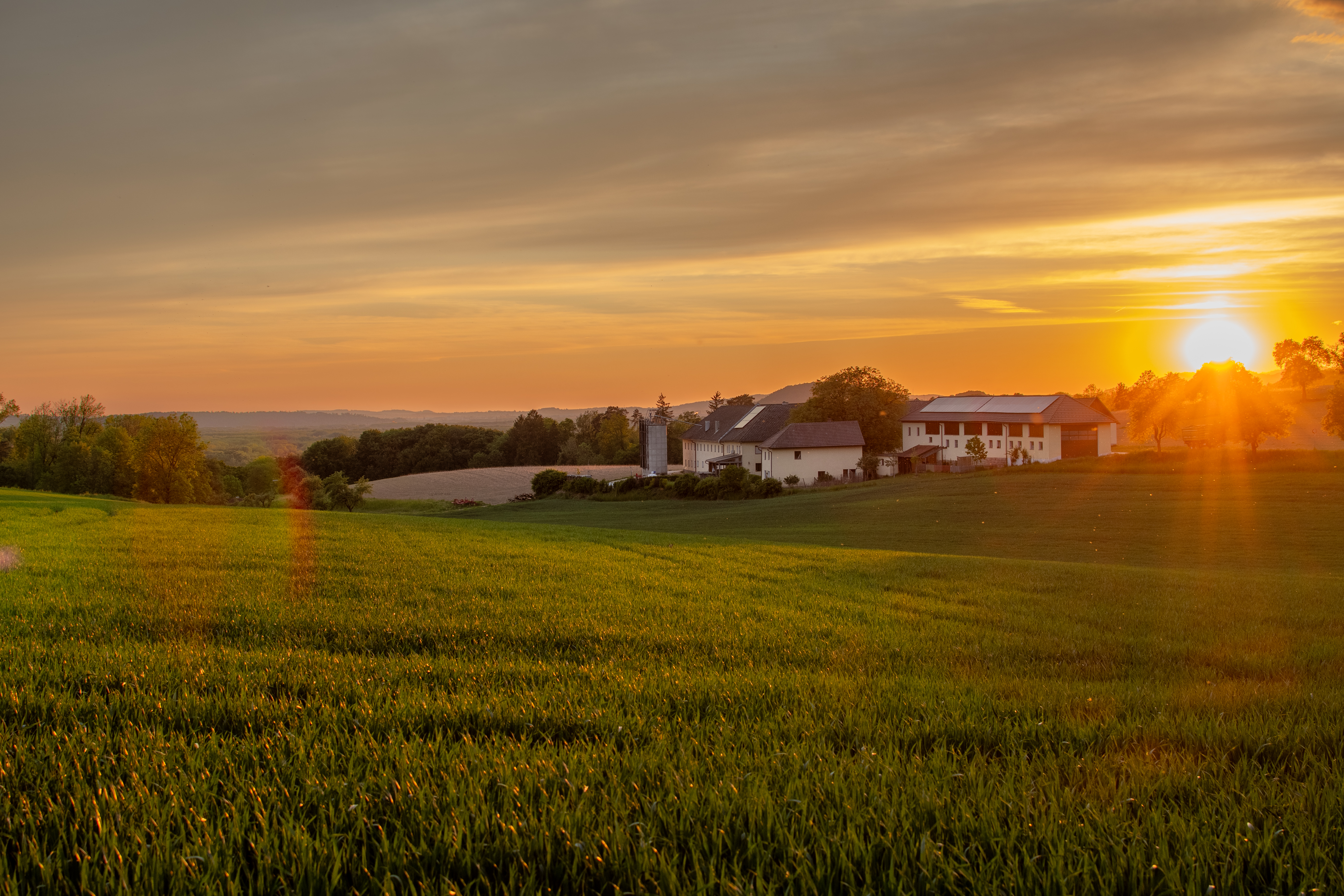 Golden light over green fields above Mauthausen village at sunset