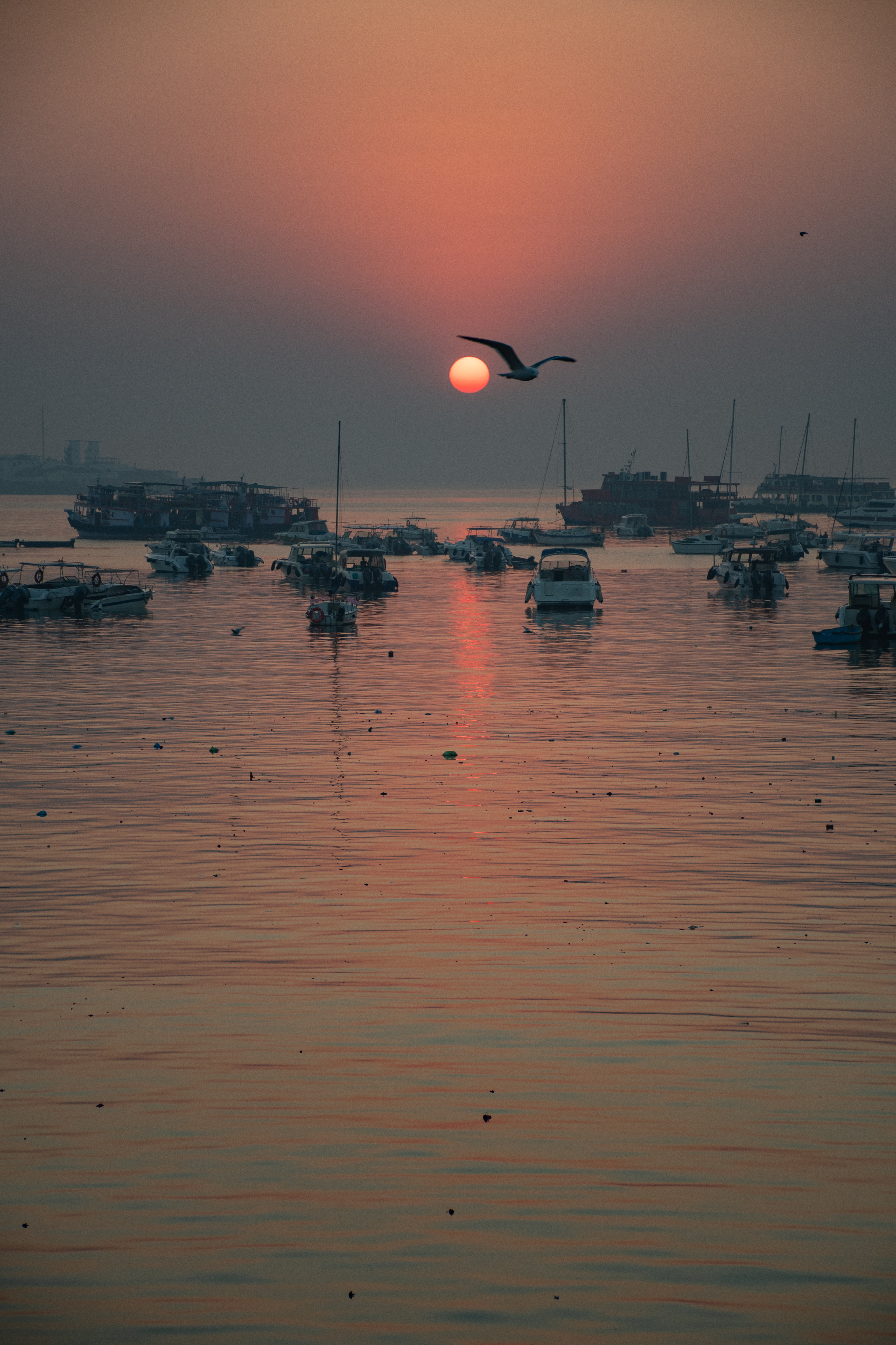 Mumbai harbor at sunrise — Two Places at Once