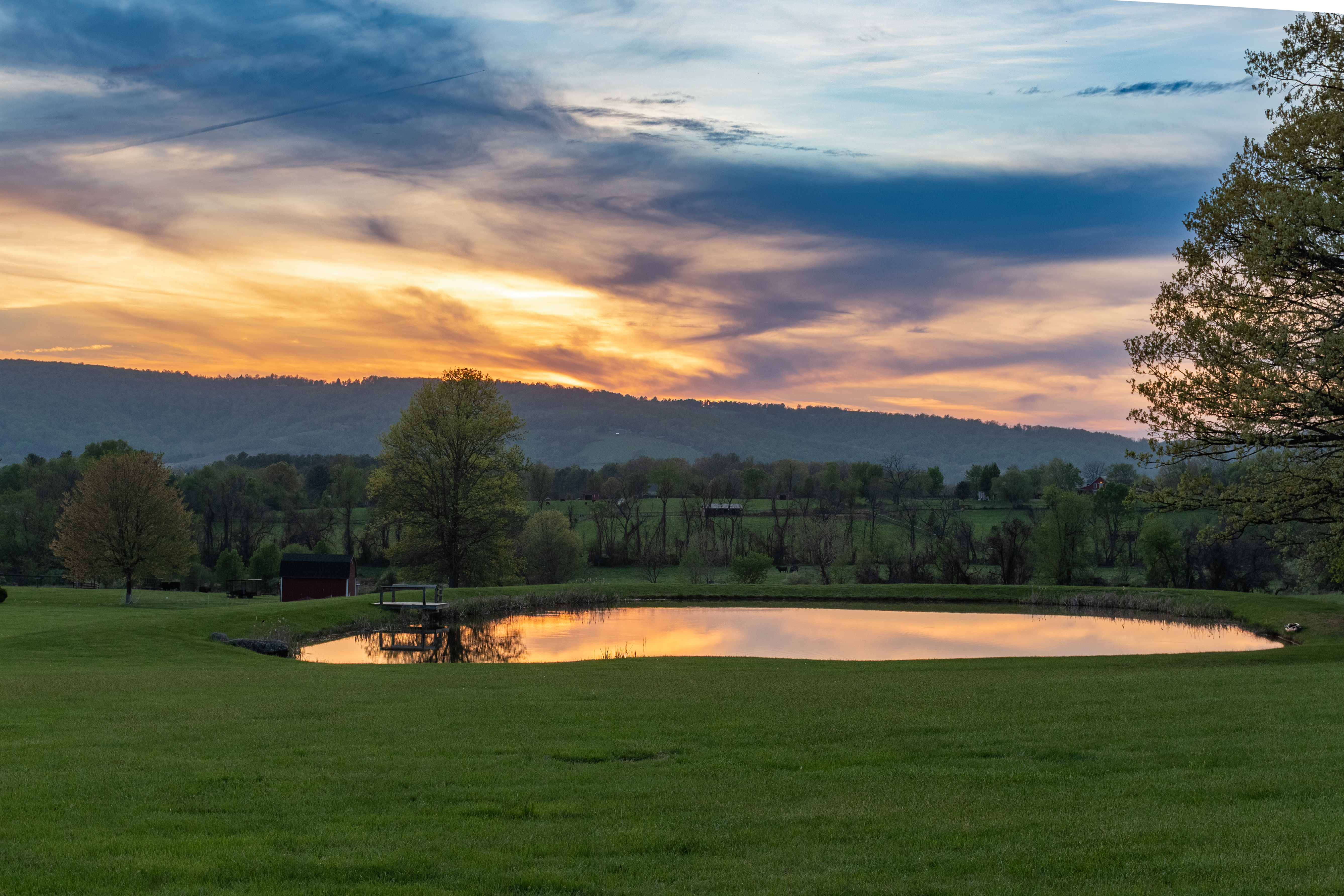 Loudoun County farm pond at sunset with Blue Ridge mountains