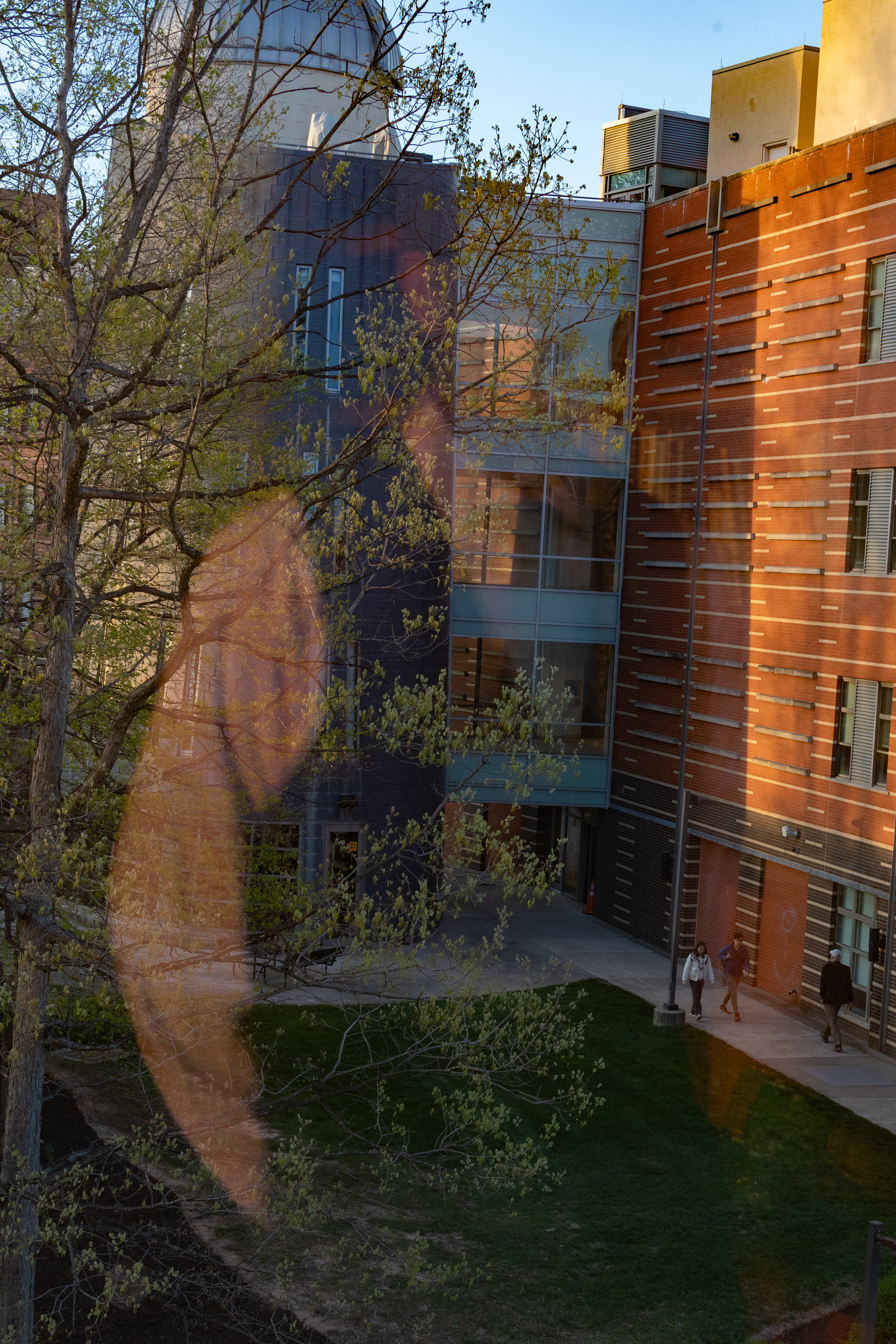 Reflection in office window at GMU, translucent self overlaid on campus